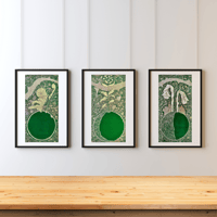 Image 1 of Lunar Garden: Full 9 Print Series Framed