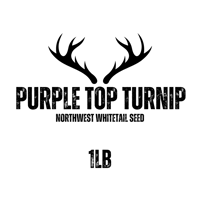 Image 1 of Purple Top Turnip