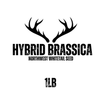 Image 1 of Hybrid Brassica