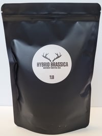 Image 2 of Hybrid Brassica