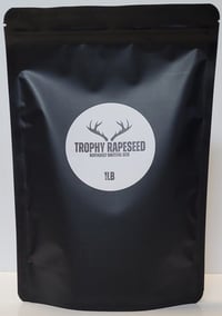 Image 2 of Trophy Rapeseed