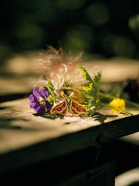 Image 1 of Moth Pins 