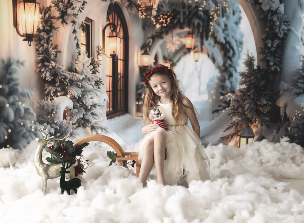 Image of Christmas Mini's 2024 - Session fee - Just £49