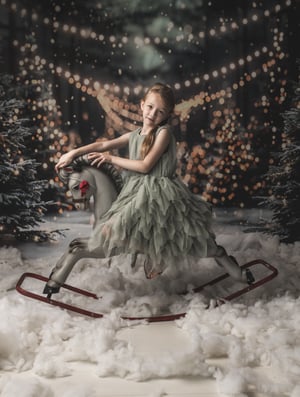 Image of Christmas Mini's 2024 - Session fee - Just £49