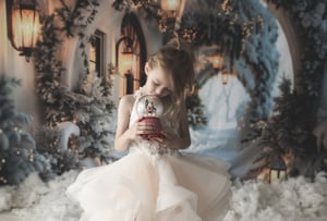 Image of Christmas Mini's 2024 - Session fee - Just £49