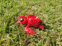 Image 3 of Rose Turtles