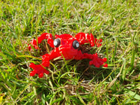 Image 4 of Rose Frogs