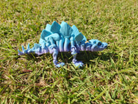 Image 3 of Large & Medium Skeleton Stegosaurus 