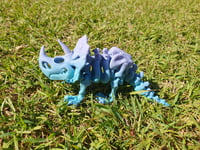 Image 1 of Medium Skeleton Triceratops 