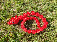 Image 1 of Snakes
