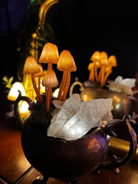 Image 2 of Cauldron led mushrooms