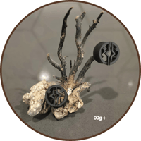 Image 1 of Fulcrum Guages