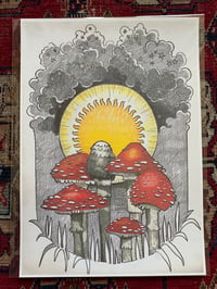 Fly Agaric mushroom print