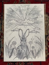 Sunrise Hare print 