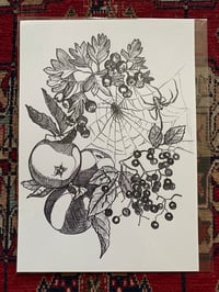 Autumn Fruits Wreath spider