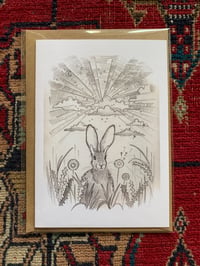 Sunrise Hare greetings card