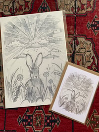 Sunrise Hare bundle 