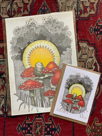 Fly Agaric Mushroom bundle 