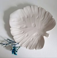 Image 2 of Plaster monstera white stand