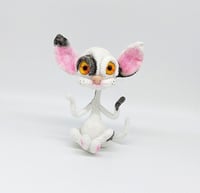 Image 1 of Sphynx cat