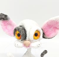 Image 2 of Sphynx cat