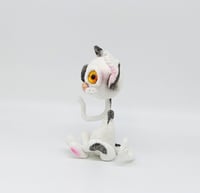 Image 3 of Sphynx cat