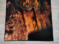 Image 3 of PANTERA - The great southern trendkill Flag (cloth poster Banner tapestry) Groove metal Dimebag