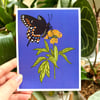 Black Swallowtail Postcard Print