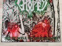 Image 5 of BROKEN HOPE - The bowels of repugnance Flag (cloth poster Banner tapestry) Death metal