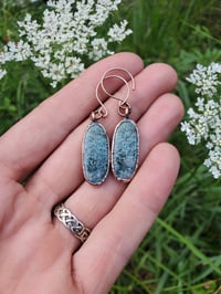 Image 3 of Horse Canyon Moss Agate Earrings