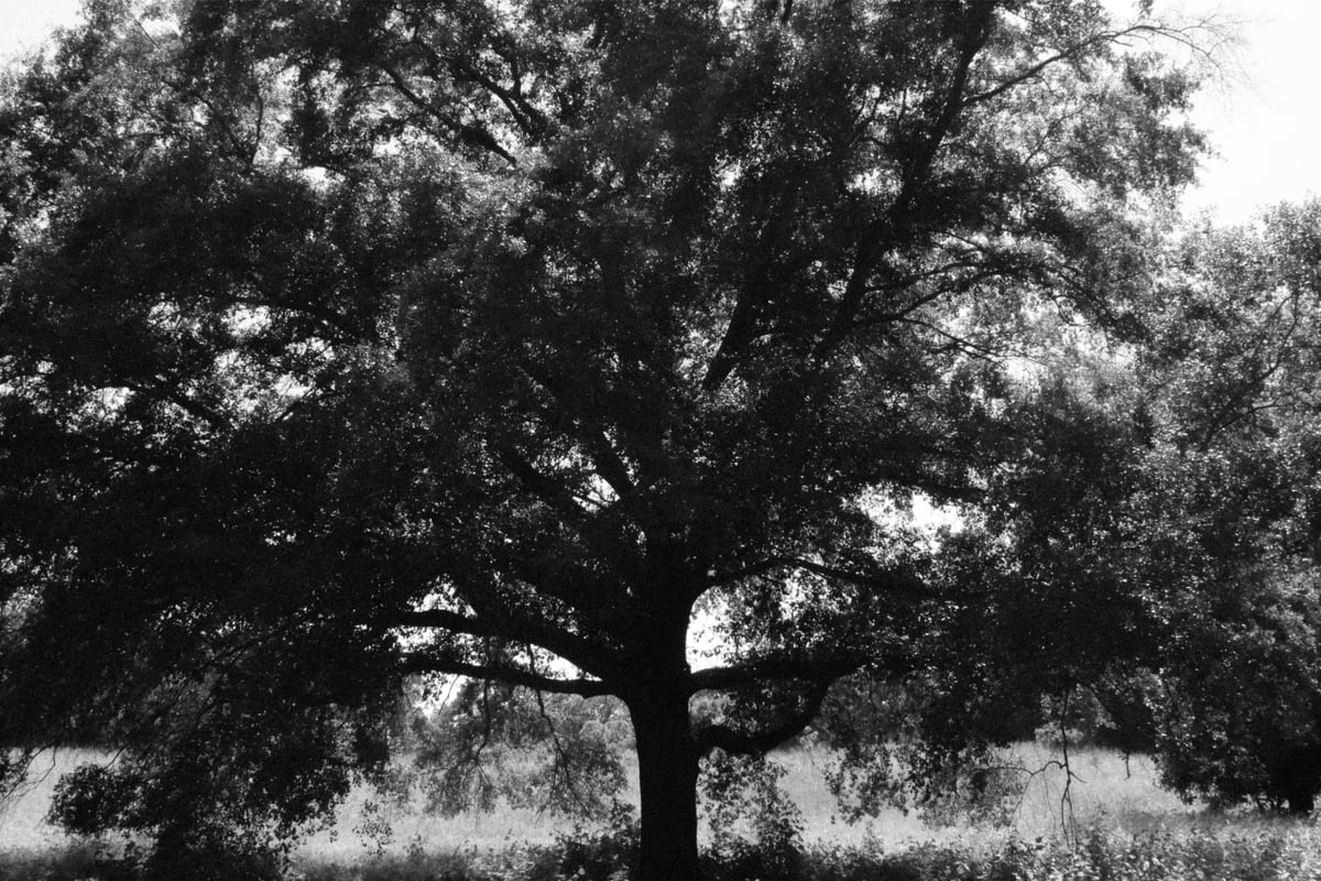 Image of "Safe Haven", May 2024 #2