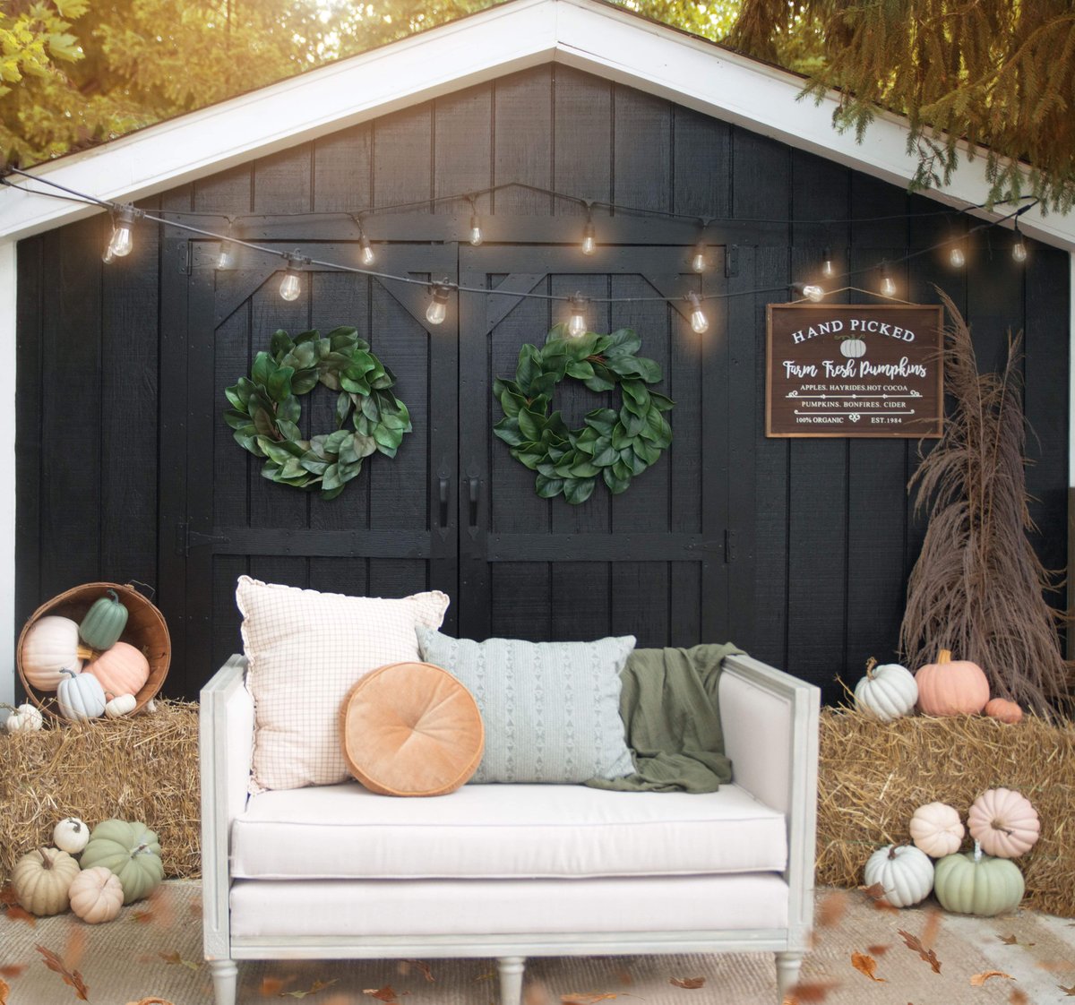 Image of Mini Barn - Fall Sessions 2024 -Deposit Only-