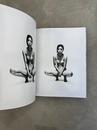 Image 3 of Gekko Shashin - Nobuyoshi Araki