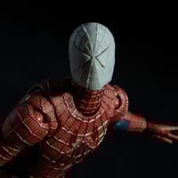 Image 1 of Human Arachnid (2004) Mask