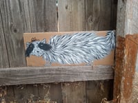 Image 5 of Long Raccoon 