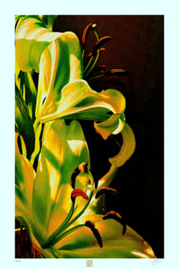 Image 1 of VERY DRAMATIC (36X24)