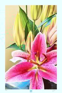 Image 1 of STARGAZER (36X24)