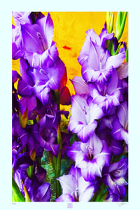 Image 1 of DID SOMEONE SAY PURPLE (36X24)