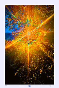  NATURE'S MANDELA (36X24) 