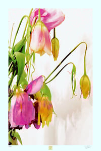 Image 1 of SLEEPY FLOWERS (36X24)