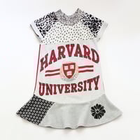 Image 1 of harvard university 5T courtneycourtney short sleeve twirl dress pocket STEM school varsity