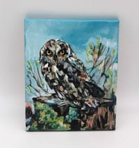 Image 1 of The Lookout – Short Eared Owl bird painting by Amanda Stumpenhorst