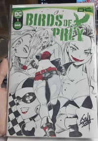 Image 2 of NEW ART SALE // Harley Quinn Blank Cover   // eSoul 