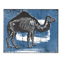 Camel Blueprint