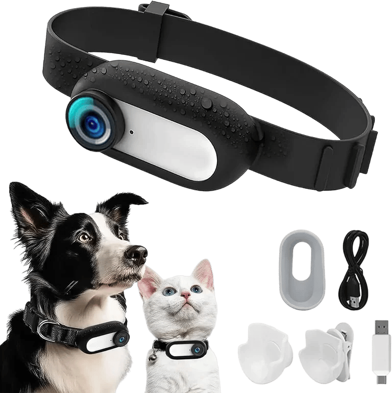 1080P Pet Collar HD Camera
