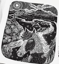 Image 1 of Preseli 
