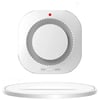 Independent Smoke Alarm Fire Protection Smokehouse Home Security System Smoke Detector