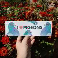Image 5 of I Love Pigeons Bumper Sticker