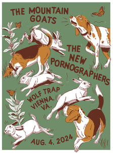 Image of The Mountain Goats / The New Pornographers 2024