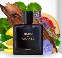 BLEU DE CHANEL PARFUM (TYPE)